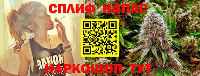 Альфа ПВП Бийск