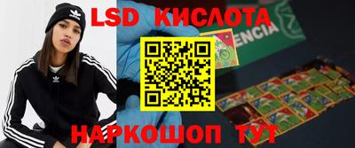 Альфа ПВП Бийск