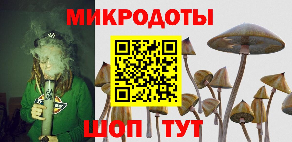 Кисловодск  Галлюциногенные грибы Psilocybine cubensis  Вход с VPN 